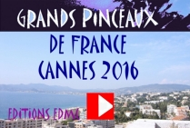 VIDEO 2016 PARTIE 2 Grands Pinceaux de France CANNES 